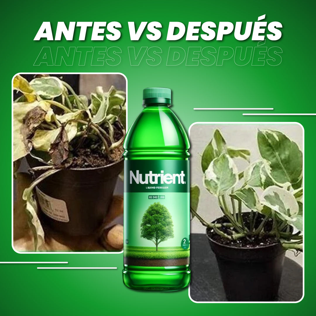 Fertilizante líquido para plantas y arboles - Nutrient™